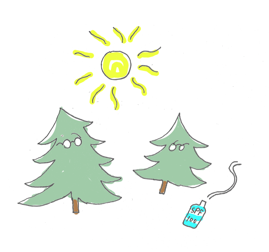 Illustration of sun shining down onto two pine trees wearing sunglasses with a bottle of sunscreen SPF 100 nearby